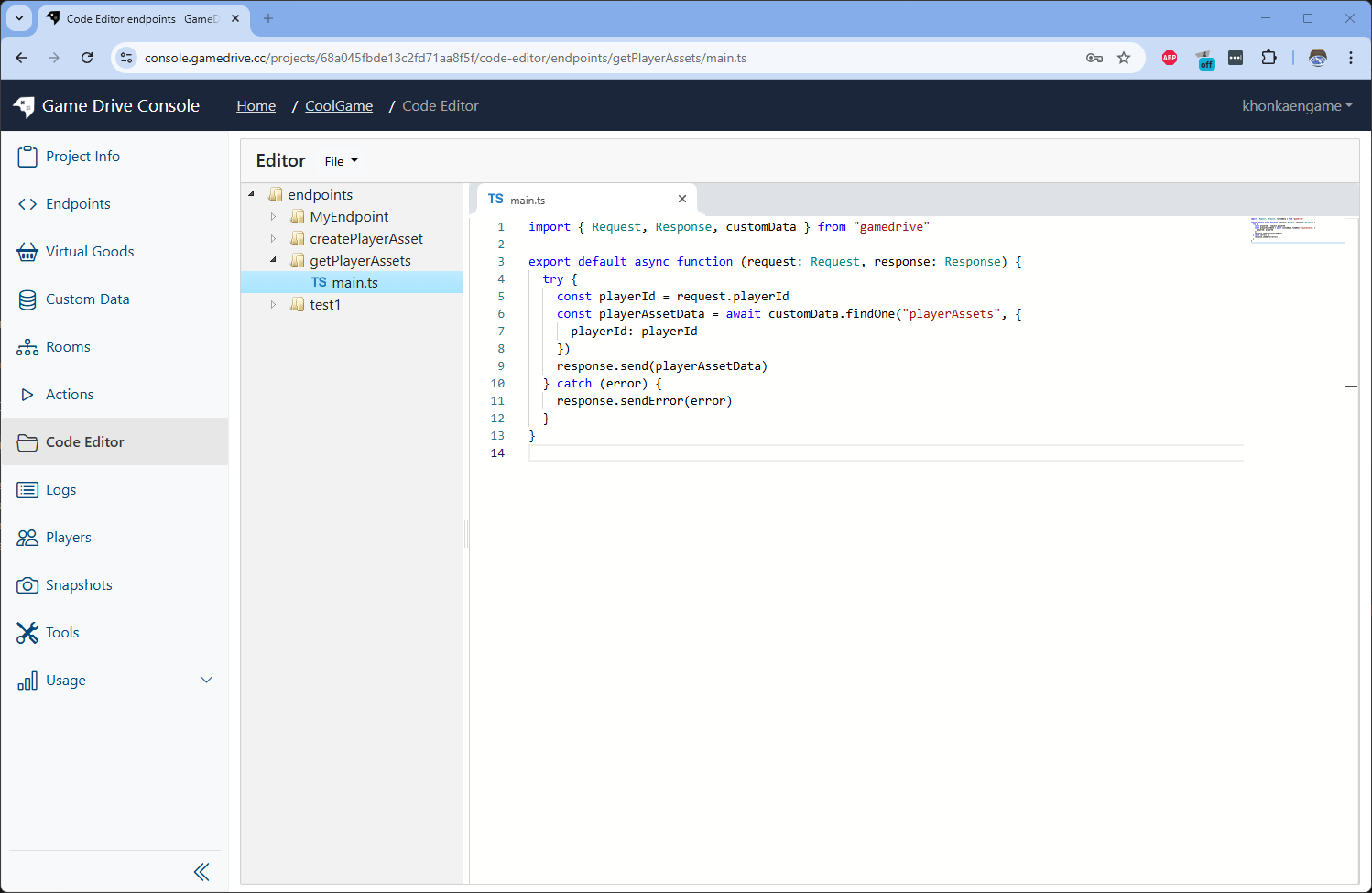 edit get player asset code